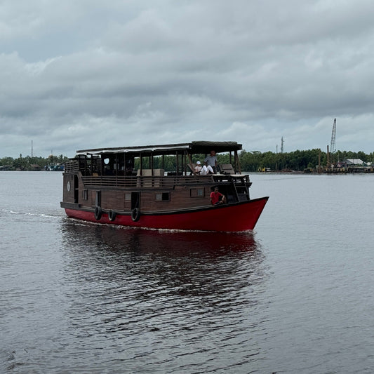 Borneo Orangutan Jungle Tour 3 Days
